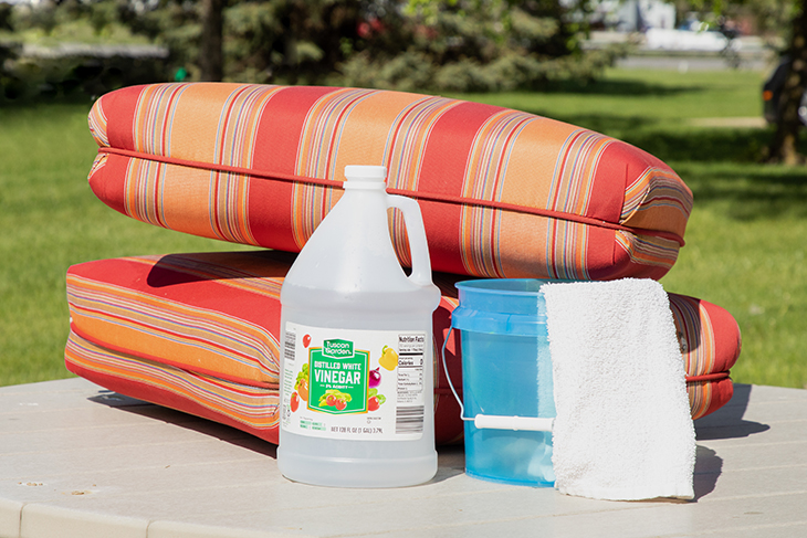 Try removing mold and mildew with a solution of white vinegar and water